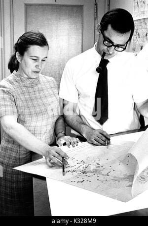 Portrait de Candide de Rada Dyson-Hudson, professeur de biologie humaine à l'Université Johns Hopkins, et son mari Neville Dyson-Hudson, professeur au département des Relations sociales à l'Université Johns Hopkins, travaillant sur un graphique dans un bureau, à Baltimore, Maryland, 1967. Banque D'Images