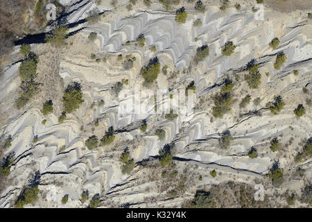 VUE AÉRIENNE. Motif de chevron dans des strates rocheuses obliques avec arbres épars. Lieuche, arrière-pays de la Côte d'Azur, Alpes-Maritimes, France. Banque D'Images