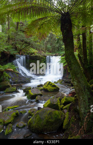 Horseshoe Falls - Mt. Domaine National Park - Tasmanie - Australie Banque D'Images