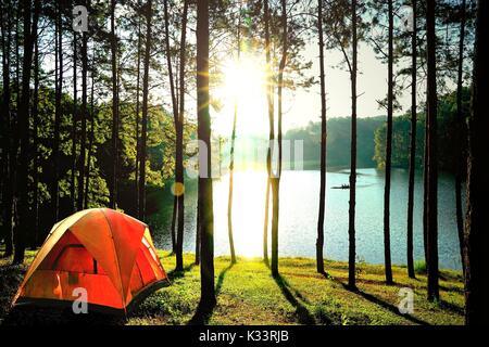 Les tentes de camping orange dans la pinède au bord du lac à Pang Pang Tong Oung Lake (réservoir), Mae Hong Son, Thaïlande. Banque D'Images