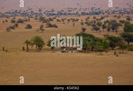 Oasis du désert aux Emirats Arabes Unis Banque D'Images