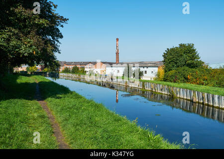 La nouvelle rivière au nord de Londres, Harringay UK, avec des entrepôts en arrière-plan Banque D'Images