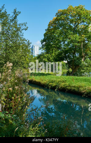 La New River et nouveau bloc d'appartement à Woodberry Zones Humides, North London UK Banque D'Images