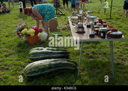 À en juger par les fleurs coupées et les légumes cultivés sur place, les moelles surdimensionnées et les produits faits maison, confitures et gâteaux au spectacle annuel du village de Cudham et à la fête. Les trophées d'argent sont sur la table prêts à être présentés. Cudham Kent années 2010 Royaume-Uni 2017 HOMER SYKES Banque D'Images