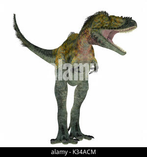 Alioramus était un dinosaure théropode carnivore qui vivait en Asie dans la période du Crétacé. Banque D'Images