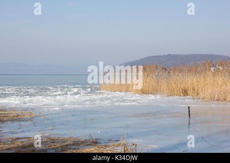 Lac Balaton en Hongrie entouré par Reed dans l'hiver de neige et de glace et un ciel bleu Banque D'Images