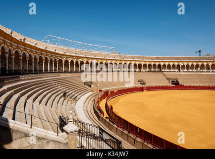 Intérieur de 'Plaza de toros de la Real Maestranza de Caballería de Sevilla' (le Bullring), Séville, Andalousie, Espagne Banque D'Images