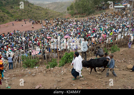 Des foules au marché extérieur tenu le samedi de Pâques orthodoxe éthiopien pour acheter de la nourriture pour célébrer la fin de la période de jeûne de Carême, Lalibela, Ethiopie Banque D'Images