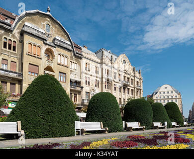 Place de la victoire (Piata Victoriei), Timisoara, Roumanie Banque D'Images