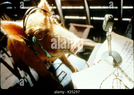 La Ferme des animaux Date : 1999 Banque D'Images