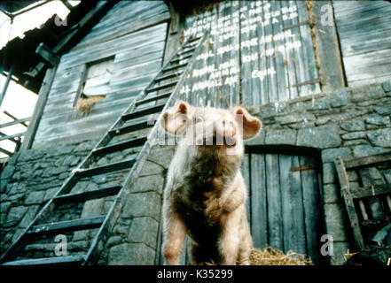 La Ferme des animaux Date : 1999 Banque D'Images