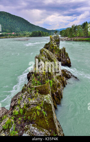 Paysage d'été pittoresque de la rivière de montagne rapide d'îlots rocheux en forme de pyramides, comme la crête d'un dragon, montagnes de l'Altaï, en Russie Banque D'Images