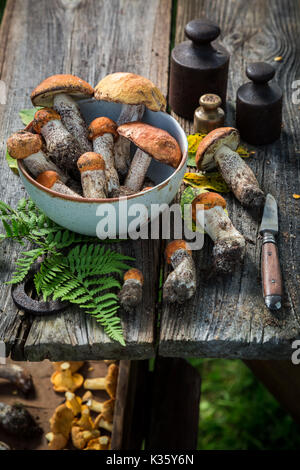Champignons sauvages frais sur la table rustique en bois ancien Banque D'Images