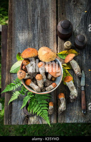 Divers champignons sauvages recueillies à l'automne Banque D'Images
