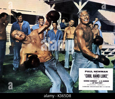 COOL HAND LUKE PAUL NEWMAN, ARTHUR KENNEDY Date : 1967 Banque D'Images