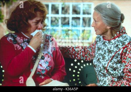 Beignets de tomates vertes Kathy Bates, Jessica TANDY Date : 1991 Banque D'Images