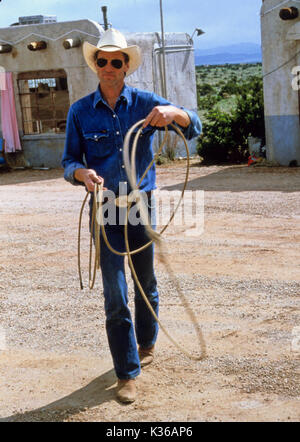 FOU POUR L'AMOUR SAM SHEPARD COWBOY LASSOO FOU POUR L'AMOUR SAM SHEPARD COWBOY LASSOO date : 1985 Banque D'Images