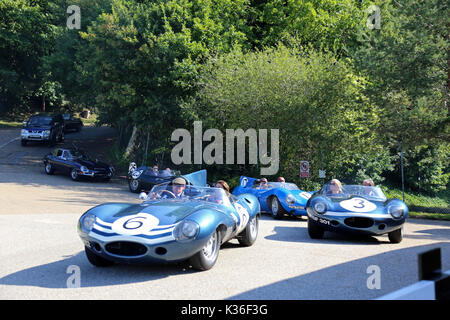 Cinq D-Jaguars Type visiter le circuit de Brooklands, Weybridge, Surrey, Angleterre, Royaume-Uni. 1er septembre 2017. Jaguar Type-D a gagné le Mans course d'endurance de 24 heures en 1955, 1956 et 1957. En 1957, D-types ont été placés 1-2-3-4-6, avec seulement un seul Ferrari en 5ème gâcher la parade. En photo, location numérotées de "6" (Ecurie Ecosse, XKSS713 504, "long-nez") est le premier nez D-Type construit. Location de '3' (Ecurie Ecosse, XKSS713 606, 'long-nez') est le vainqueur du Mans 1957 et '17' (Equipe Los Amigos, XKSS713 513, 'short-nez') a terminé troisième. Nombre '25' (Jaguar XKSS713, 605 Œuvres, "long-nez") a été 6ème au Mans en 1956. Banque D'Images