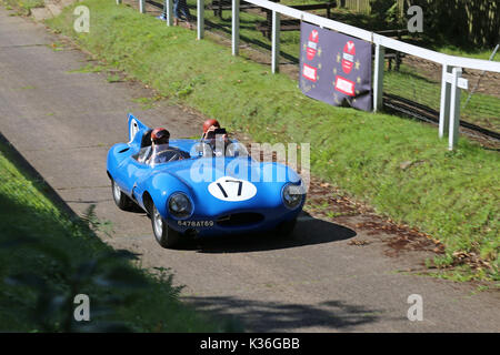 Cinq D-Jaguars Type visiter le circuit de Brooklands, Weybridge, Surrey, Angleterre, Royaume-Uni. 1er septembre 2017. Jaguar Type-D a gagné le Mans course d'endurance de 24 heures en 1955, 1956 et 1957. En 1957, D-types ont été placés 1-2-3-4-6, avec seulement un seul Ferrari en 5ème gâcher la parade. En photo, illustré sur la colline d'essai voiture, numérotées de 17' (Equipe Los Amigos, XKSS713 513, 'short-nez') a terminé troisième au Mans en 1957. Banque D'Images