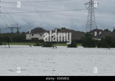 Houston, Texas, US. Août 30, 2017. HOUSTON, 30 août 2017, le Comté de Harris Vice-Darren Goforth Park sur Horsepen Cypress Creek, Texas, États-Unis, le 26 août 2008, 27 en 2017. Ouragan de catégorie 4 Harvey a frappé vendredi soir dernier sur la côte du Texas, plus tard réduit à une tempête tropicale. La pluie torrentielle a été de déverser dans la région ainsi qu'une plus grande de Houston, ce qui se traduit par de fortes inondations et des dommages-intérêts. Crédit : Maria Lysaker/ZUMA/Alamy Fil Live News Banque D'Images