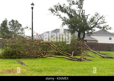 Houston, Texas, US. Août 30, 2017. HOUSTON, 30 août 2017 de dommages à un immeuble de bureaux sur Barker Cypress Road, cyprès, Texas, États-Unis, le 26 août 2008, 27 en 2017. Lorsque l'une des nombreuses tornades a touché le sol après l'ouragan de catégorie 4 Harvey a frappé vendredi soir dernier sur la côte du Texas. Il a ensuite rétrogradé à une tempête tropicale. La pluie torrentielle, 35 pouces en quelques jours a été de déverser dans la région ainsi qu'une plus grande de Houston, ce qui a entraîné des inondations massives et des dommages-intérêts. Crédit : Maria Lysaker/ZUMA/Alamy Fil Live News Banque D'Images