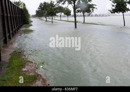 Houston, Texas, US. Août 30, 2017. HOUSTON, 30 août 2017 Les inondations dans le Comté de Harris Vice-Darren Goforth Park sur Horsepen Cypress Creek, Texas, États-Unis, le 28 août, 2017. Après l'ouragan de catégorie 4 Harvey a frappé vendredi soir dernier sur la côte du Texas. Il a ensuite rétrogradé à une tempête tropicale. La pluie torrentielle, 35 pouces en quelques jours, a été de déverser dans la région ainsi qu'une plus grande de Houston, ce qui a entraîné des inondations massives et des dommages-intérêts. Crédit : Maria Lysaker/ZUMA/Alamy Fil Live News Banque D'Images