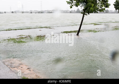 Houston, Texas, US. Août 30, 2017. HOUSTON, 30 août 2017 Les inondations dans le Comté de Harris Vice-Darren Goforth Park sur Horsepen Cypress Creek, Texas, États-Unis, le 26 août 2008, 27 en 2017. Après l'ouragan de catégorie 4 Harvey a frappé vendredi soir dernier sur la côte du Texas. Il a ensuite rétrogradé à une tempête tropicale. La pluie torrentielle, 35 pouces en quelques jours, a été de déverser dans la région ainsi qu'une plus grande de Houston, ce qui a entraîné des inondations massives et des dommages-intérêts. Crédit : Maria Lysaker/ZUMA/Alamy Fil Live News Banque D'Images