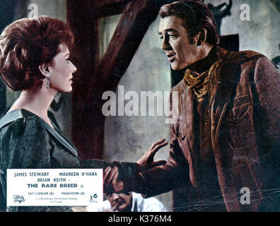 La race rare [US] 1966 Maureen O'HARA ET JAMES STEWART UNIVERSAL UNE DATE DE PRODUCTION : 1966 Banque D'Images