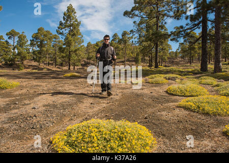 Randonnées en forêt randonneur homme Tenefire, Canaries Banque D'Images