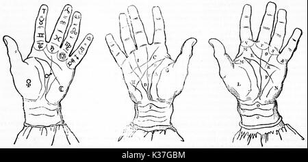3 anciennes illustrations isolées de chiromancie principes avec la ligne des mains et des symboles ésotériques. Vieille Illustration d'auteur non identifié, publié le Magasin Pittoresque, Paris, 1834 Banque D'Images