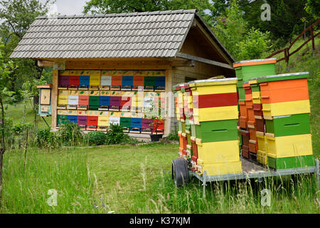 Traditionnellement peints en couleur ruche rucher house et fort à Kralov Med in Selo près de Bled en Slovénie au printemps Banque D'Images