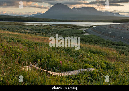 Coucher de soleil sur la montagnes Chigmit au McNeil River State Game Sanctuary sur la péninsule de Kenai, en Alaska. Le site distant est accessibles qu'avec un permis spécial et est la plus importante population saisonnière d'ours bruns dans leur environnement naturel. Banque D'Images