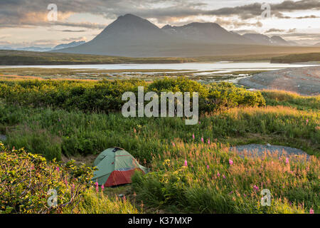 Une tente au camping à l'état de la rivière McNeil Sanctuaire Jeu au coucher du soleil sur la péninsule de Kenai, Alaska. Le site distant est accessibles qu'avec un permis spécial et est la plus importante population saisonnière d'ours bruns dans leur environnement naturel. Banque D'Images