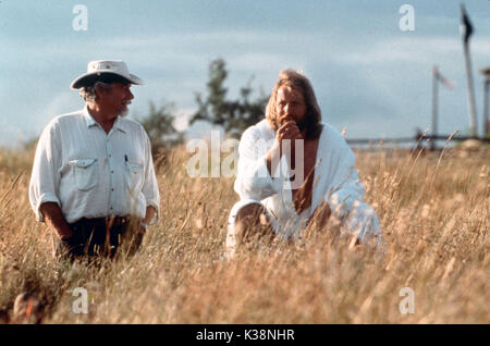 FLY AWAY HOME Directeur Carroll Ballard, Jeff Daniels Date : 1996 Banque D'Images