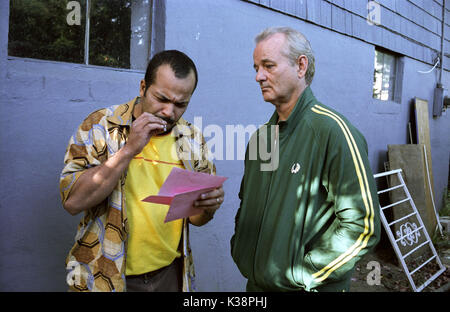 Winston et Don dans BROKEN FLOWERS BROKEN FLOWERS [US / FR 2005] JEFFREY WRIGHT, Bill Murray Banque D'Images