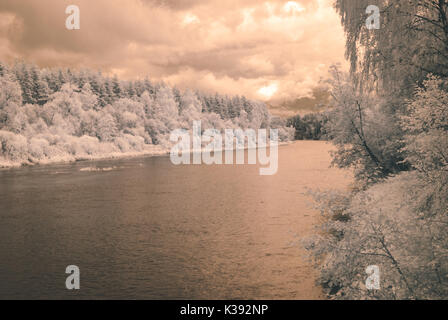 Reflets dans l'eau dans la campagne de l'été. image infrarouge avec blanc arbres en rive de la rivière - effet vintage Banque D'Images