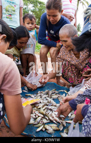 Vendeur vente de petits poissons fraîchement pêchés dans la rivière Siem Reap, Cambodge le Oct 11, 2011 Banque D'Images