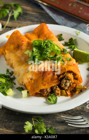 Des enchiladas de boeuf avec sauce rouge et coriandre Banque D'Images