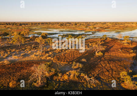 Le marais d'eau douce avec l'eau, canaux et d'îles, en fin de soirée, vue aérienne, Delta de l'Okavango, Moremi, Botswana Banque D'Images