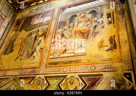 Fresques de la capella bardi, dans l'église Santa Maria Novella à Florence Italie Banque D'Images