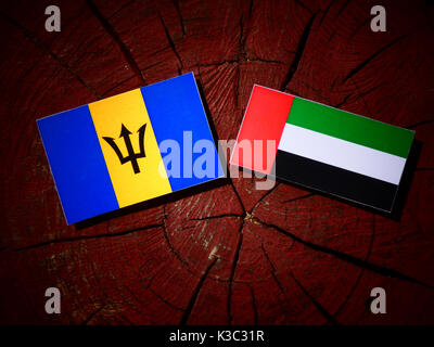 La Barbade avec drapeau Emirats Arabes Unis drapeau sur une souche d'arbre isolé Banque D'Images