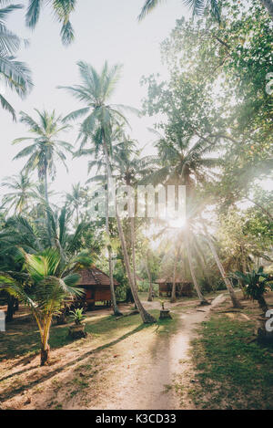 Tangalle, Province du Sud, Sri Lanka - Avril 27, 2017 : Palm Paradise Cabanas et cabines de plage resort sur la plage de Tangalle au Sri Lanka Banque D'Images