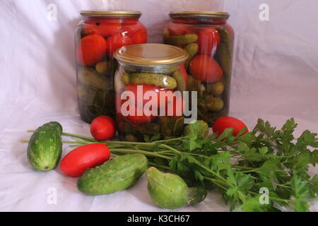 Beaux légumes colorés avec verdure en verre de boîtes pour Pickle Banque D'Images