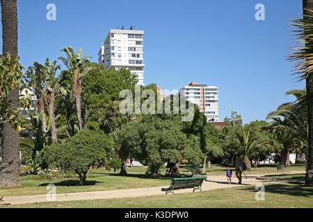 Chili, Viña del Mar, Parc, Banque D'Images