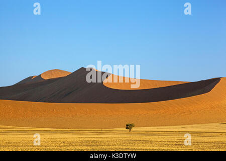 L'Afrique, Afrique australe, la Namibie, Hardab région, Sossusvlei, Namib Naukluft park, paysage de dunes, Banque D'Images