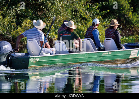 Brésil, Pantanal, excursion en bateau avec safari oiseaux sur le Rio Claro, Banque D'Images