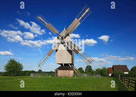 Cheval de saut de moulin à vent Gross-Lobke dans le musée en plein air de Detmold, LWL bois Teutoburger, Rhénanie du Nord-Westphalie, Banque D'Images