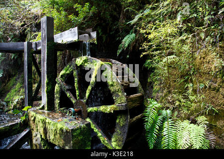 Le Chili, Araucania, thermal Spa Termas Geometricas, roue hydraulique, mousse, Banque D'Images