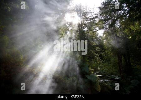 Le Chili, Araucania, thermal Spa Termas Geometricas, du soleil, Banque D'Images