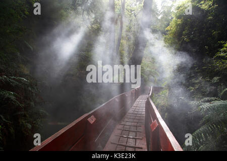 Le Chili, Araucania, thermal Spa Termas Geometricas, bridge, du soleil, Banque D'Images